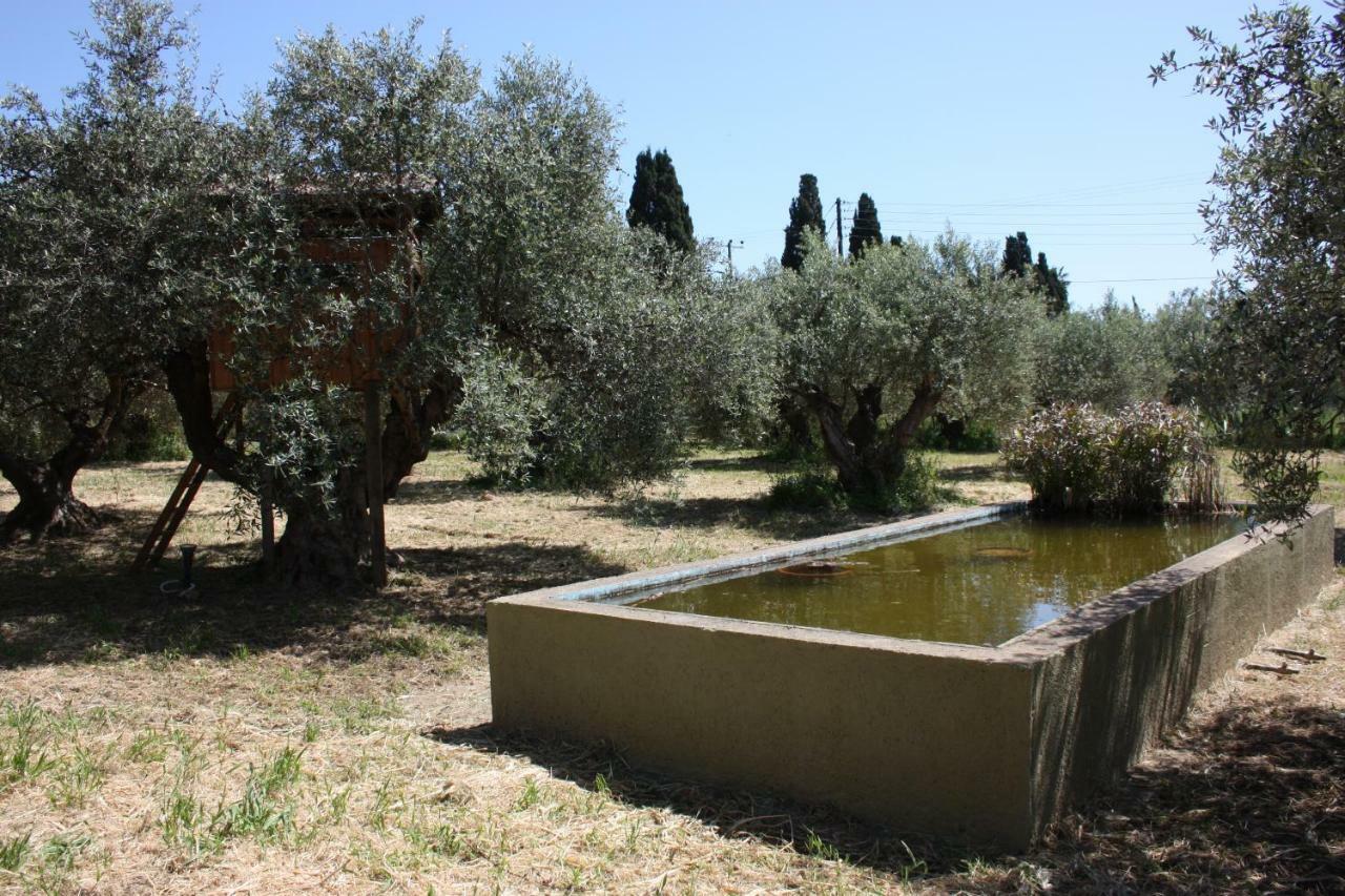 Mercouri Stone Cottage Korakochori Bagian luar foto