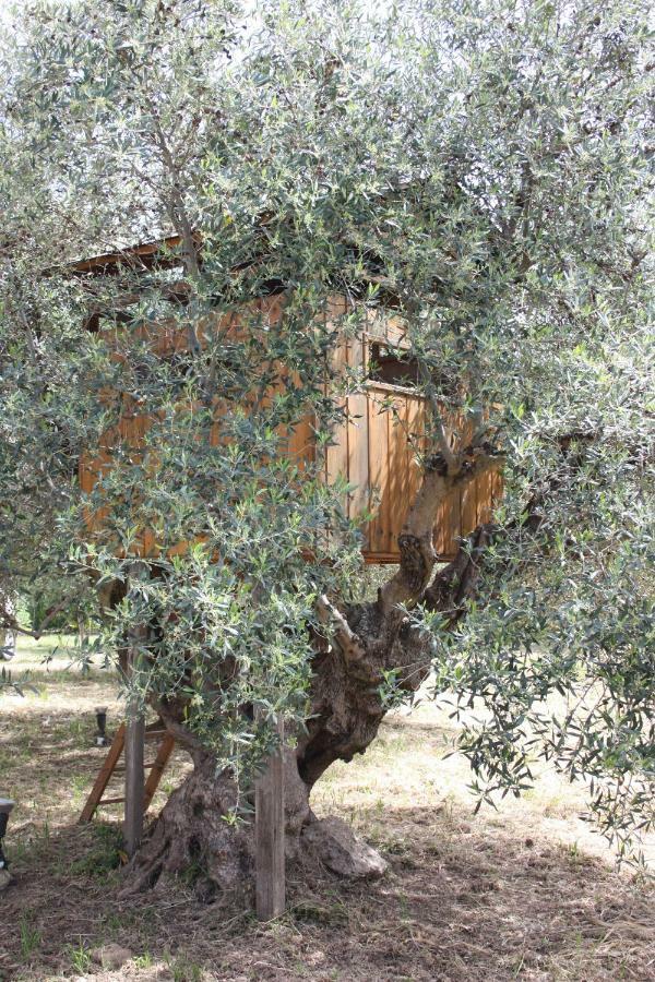 Mercouri Stone Cottage Korakochori Bagian luar foto