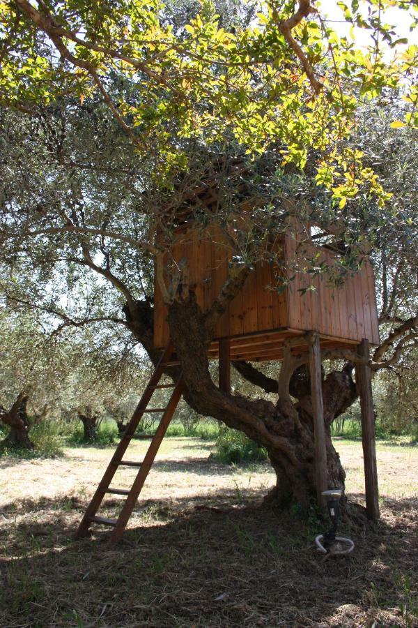 Mercouri Stone Cottage Korakochori Bagian luar foto