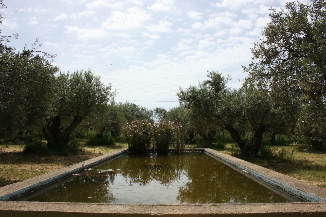 Mercouri Stone Cottage Korakochori Bagian luar foto